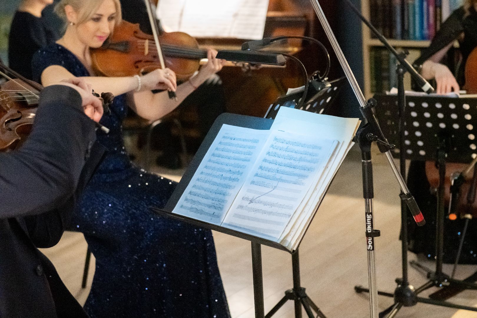 лыткарино, культура, библиотека, концерт, президентский грант, президентский фонд культурных инициатив,