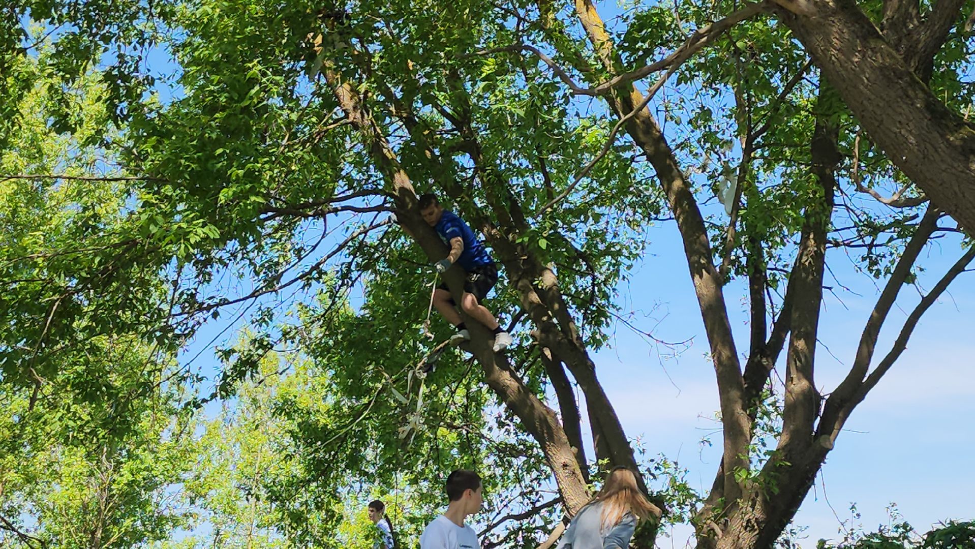 серпухов, подмосковье, экоакция, кино, знаменитости, экологическая акция,