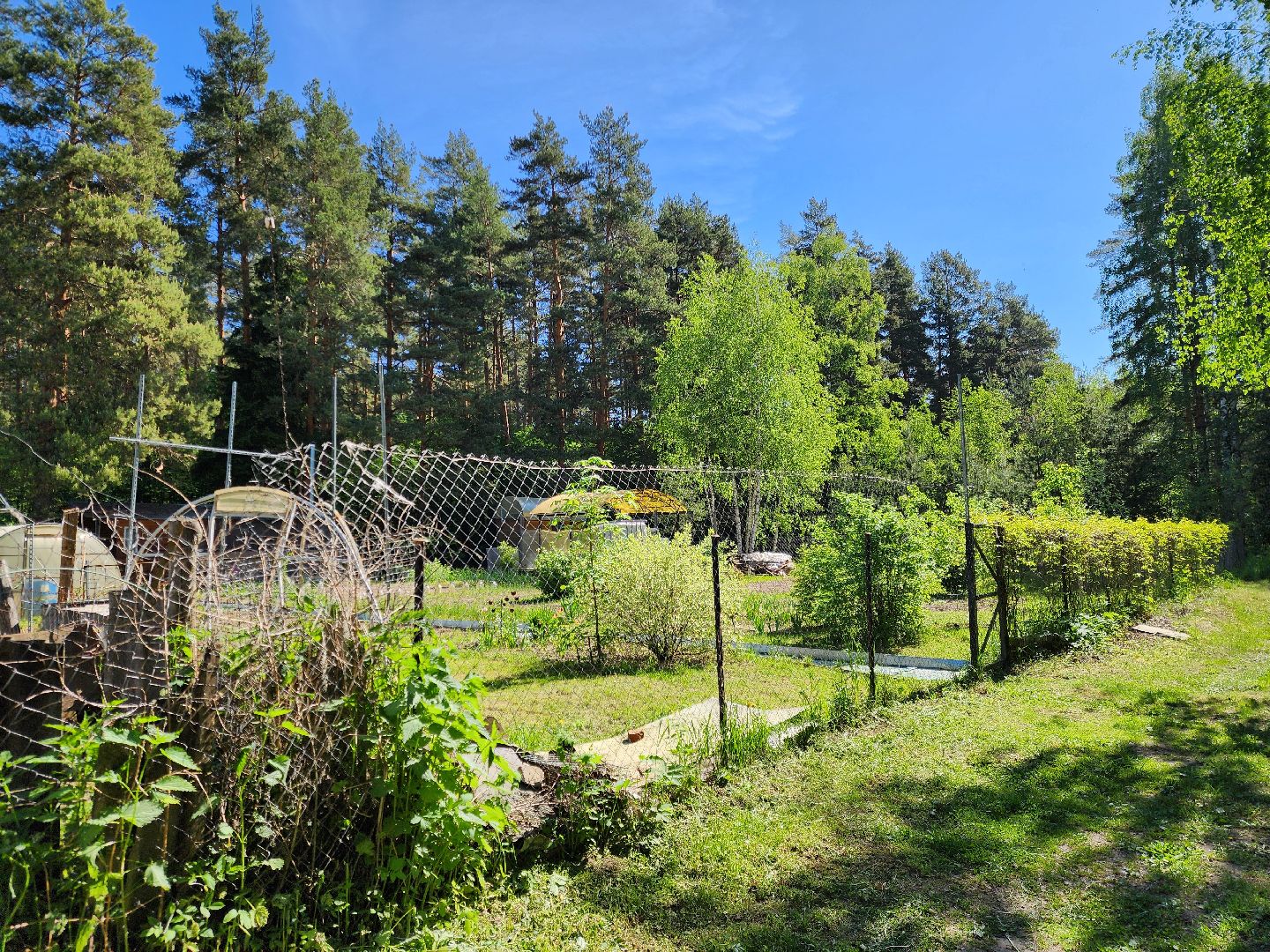 ногинск, жители, общество, власть, снт, глава города, встреча с жителями,
