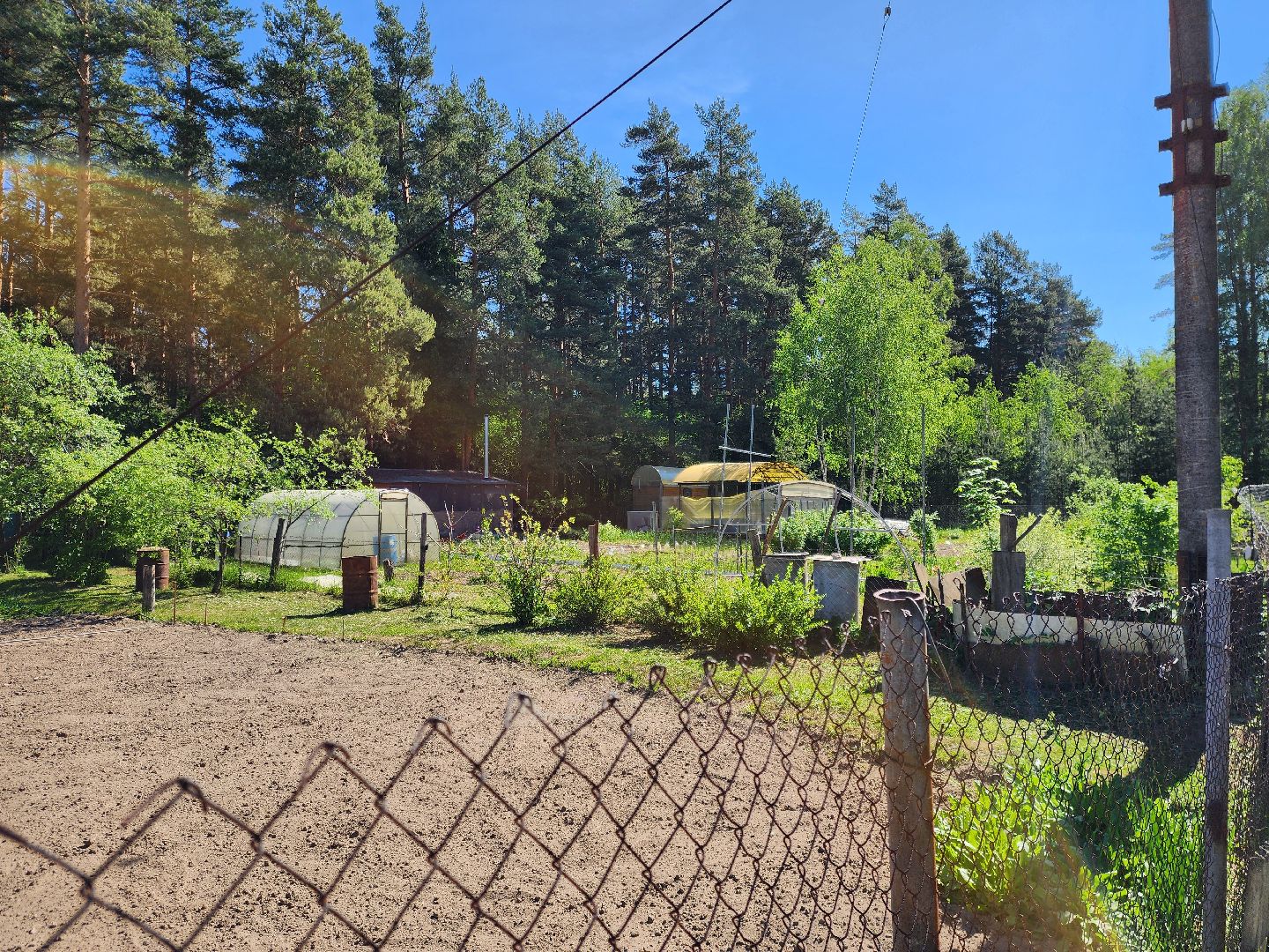 ногинск, жители, общество, власть, снт, глава города, встреча с жителями,