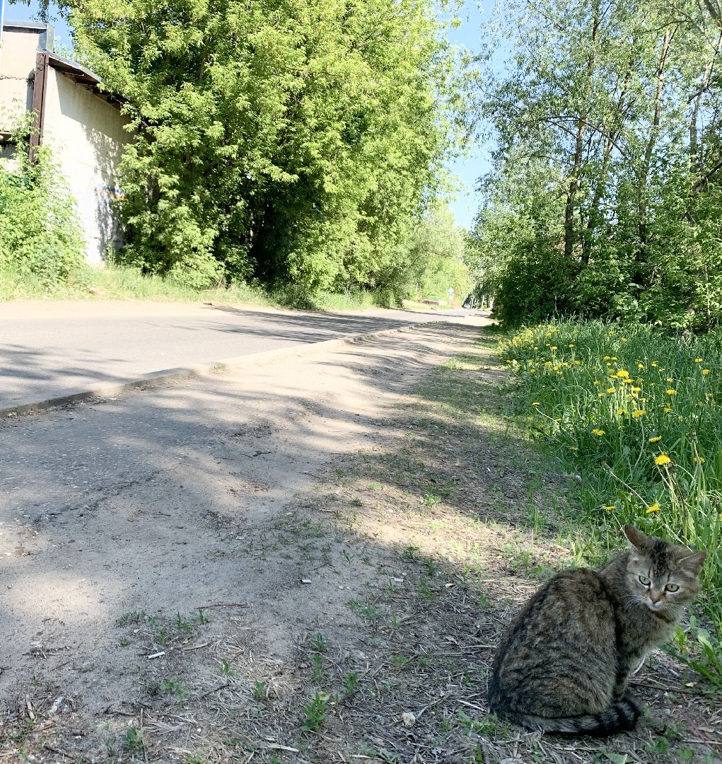 Балашиха, Подмосковье, Ремонт дорог,