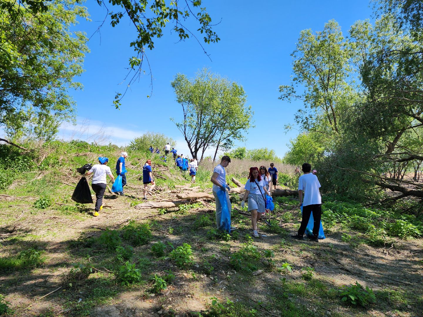 серпухов, подмосковье, мгер, молодогвардейцы, молодая гвардия, молодая гвардия подмосковья, молодежь,