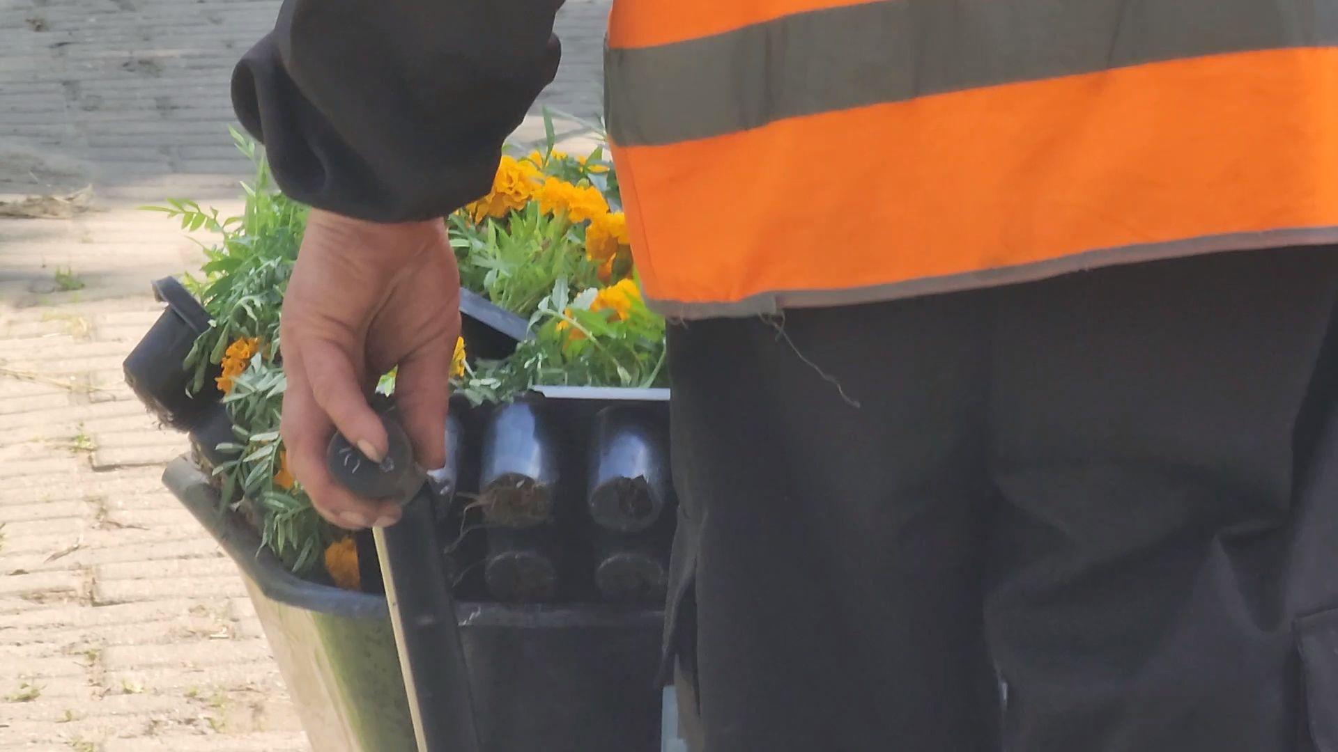 одинцово, благоустройство, мбу, озеленение,