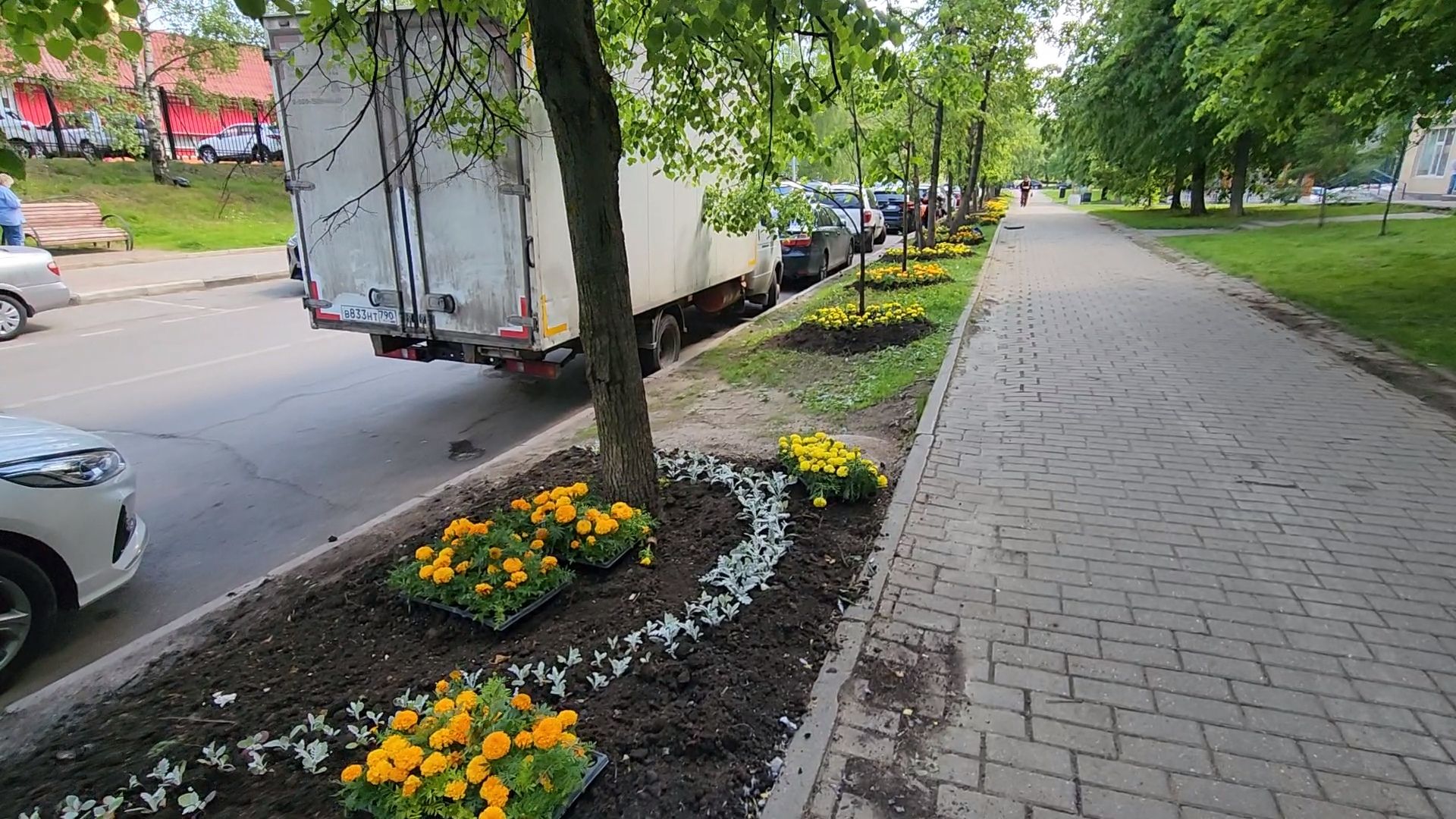 одинцово, благоустройство, мбу, озеленение,