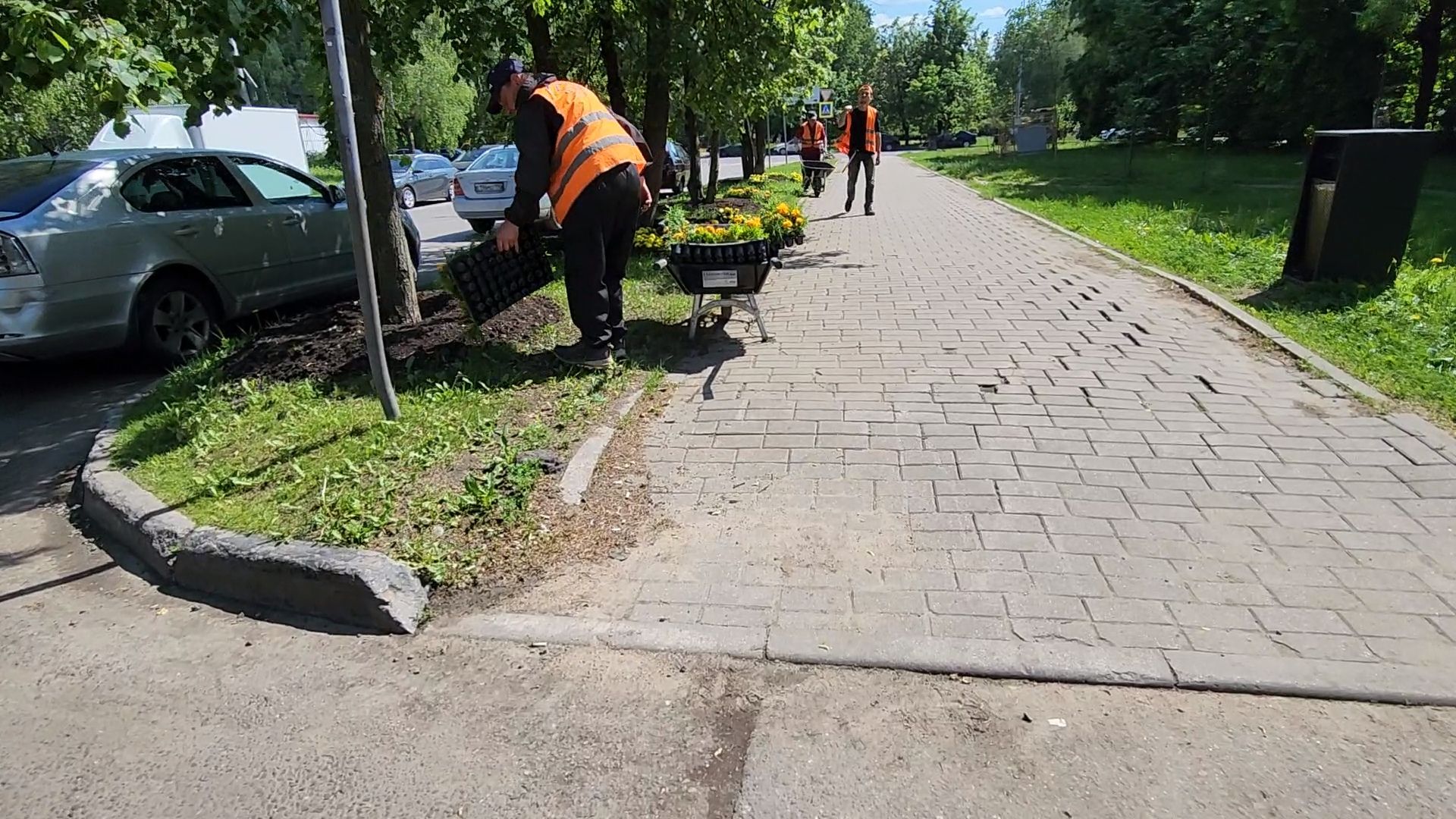 одинцово, благоустройство, мбу, озеленение,