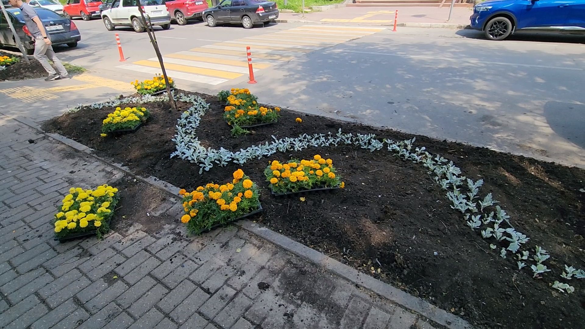 одинцово, благоустройство, мбу, озеленение,