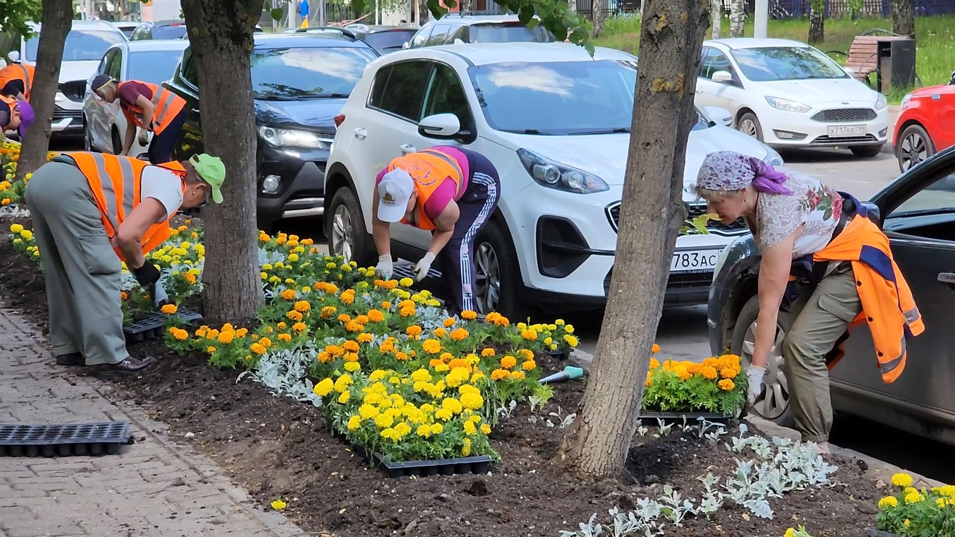 одинцово, благоустройство, мбу, озеленение,