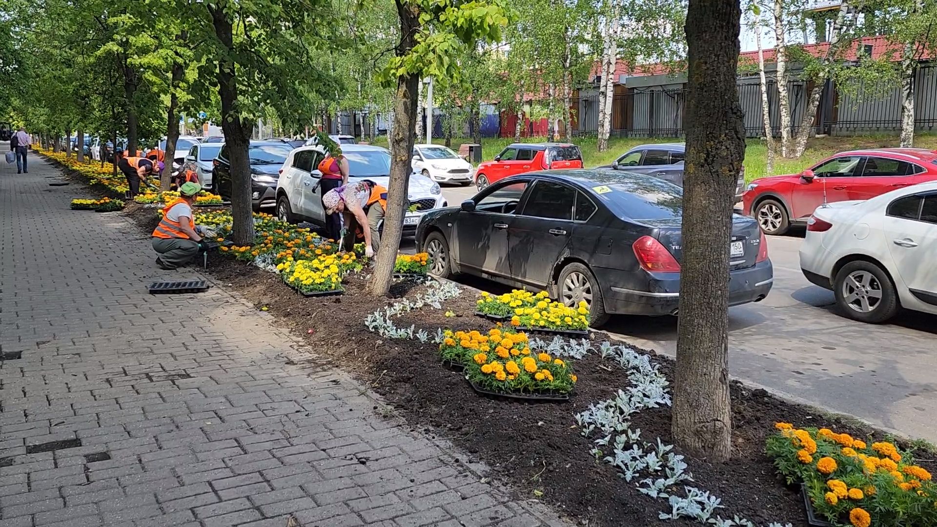 одинцово, благоустройство, мбу, озеленение,