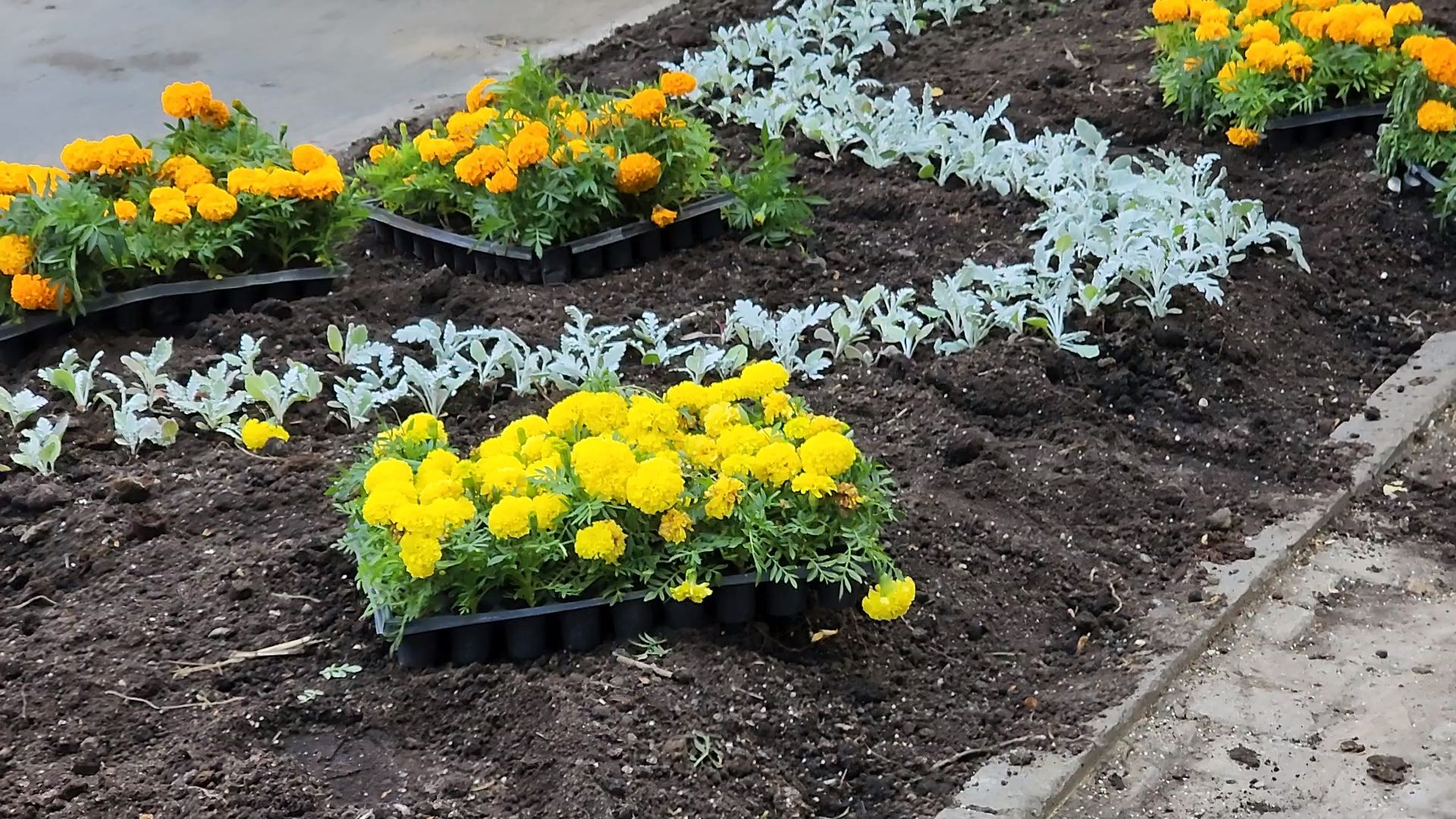 одинцово, благоустройство, мбу, озеленение,