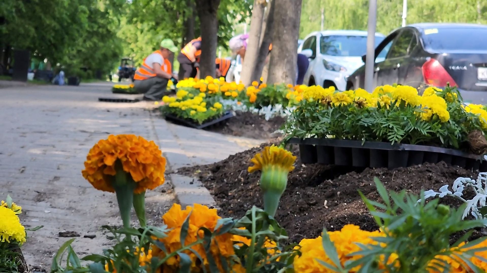 одинцово, благоустройство, мбу, озеленение,