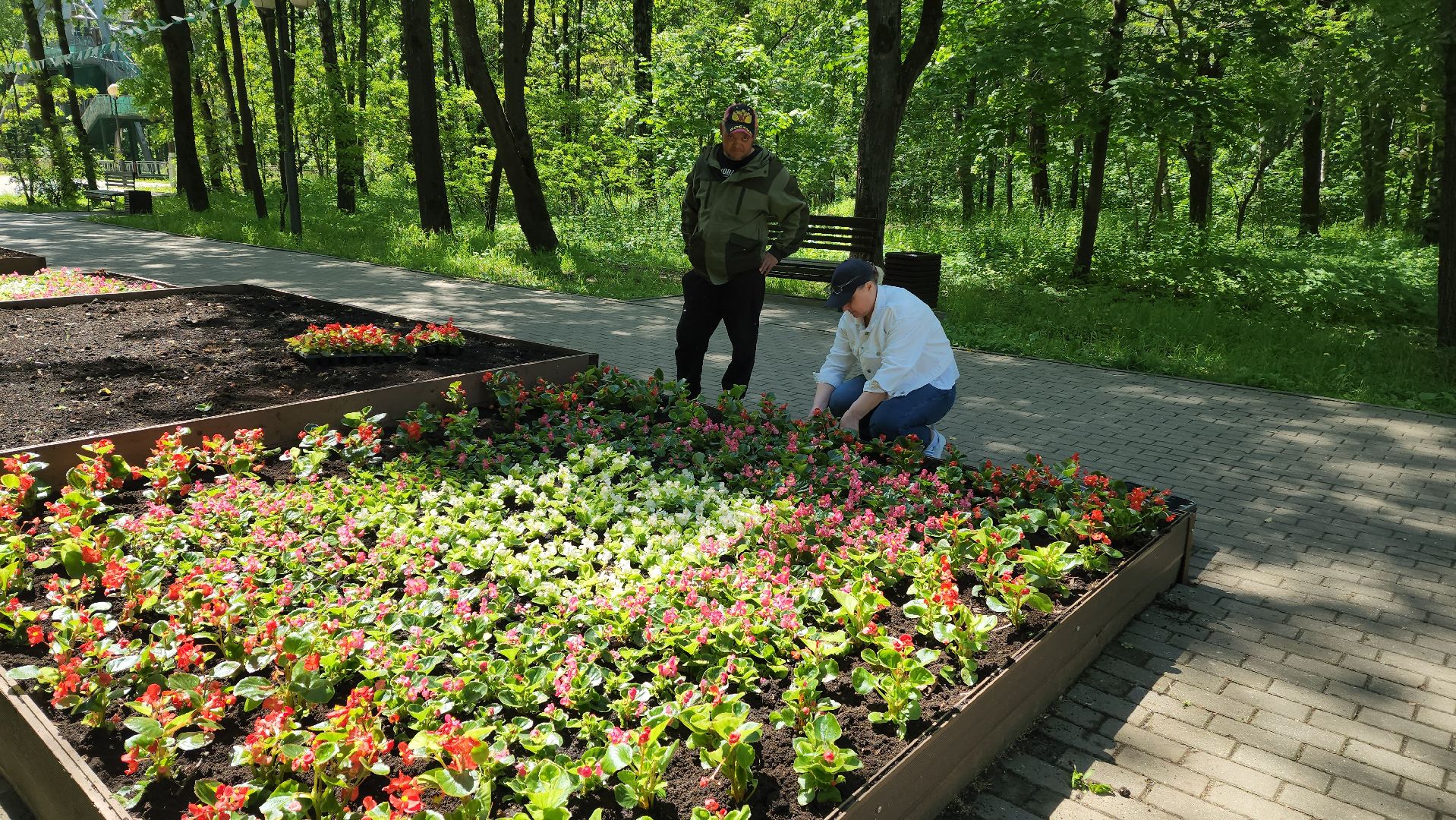 красногорск, городской парк, цветы,