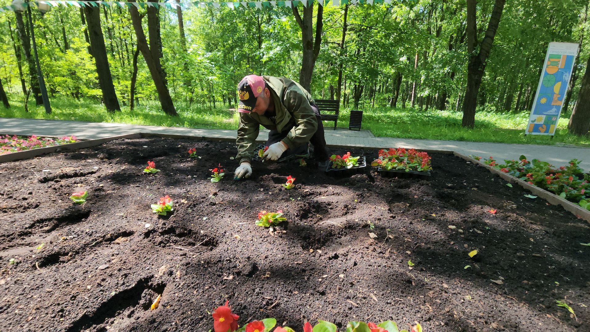 красногорск, городской парк, цветы,