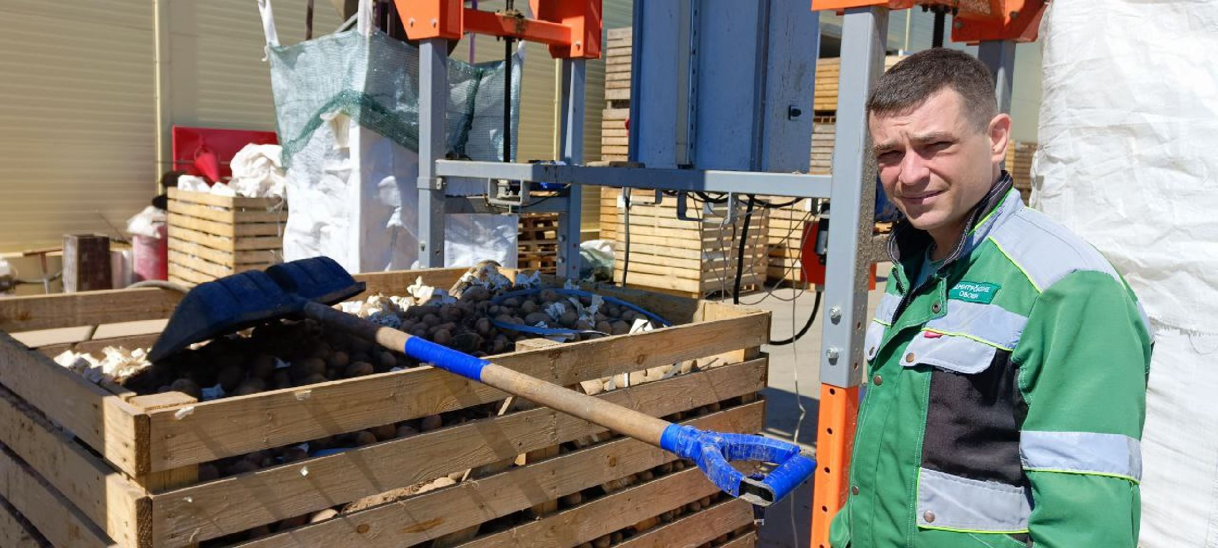 Талдом, Дмитровские овощи,