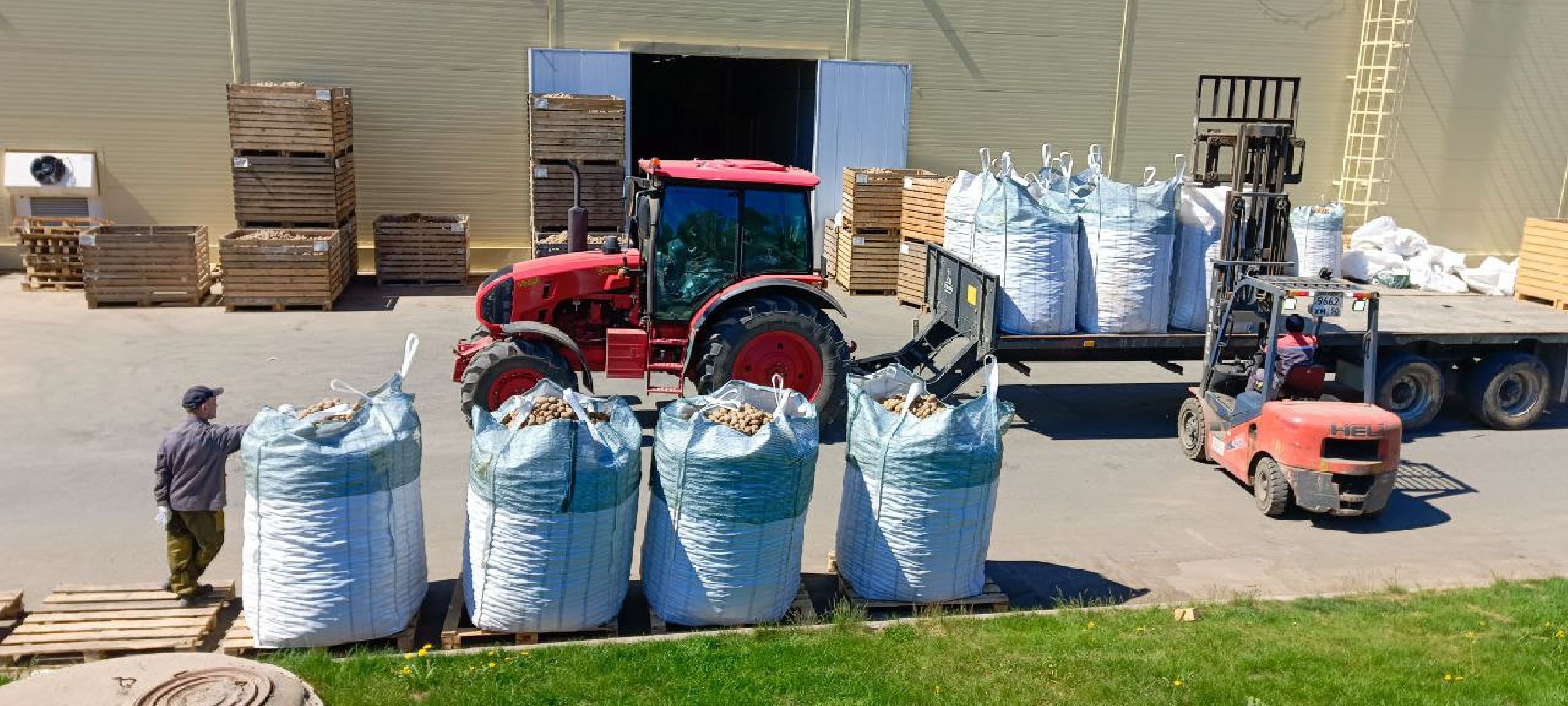 Талдом, Дмитровские овощи,