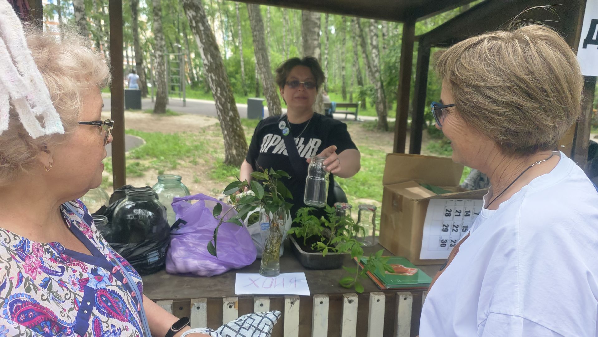 Зеленая Дармарка, Городской лес, обмен вещами, Домодедово,