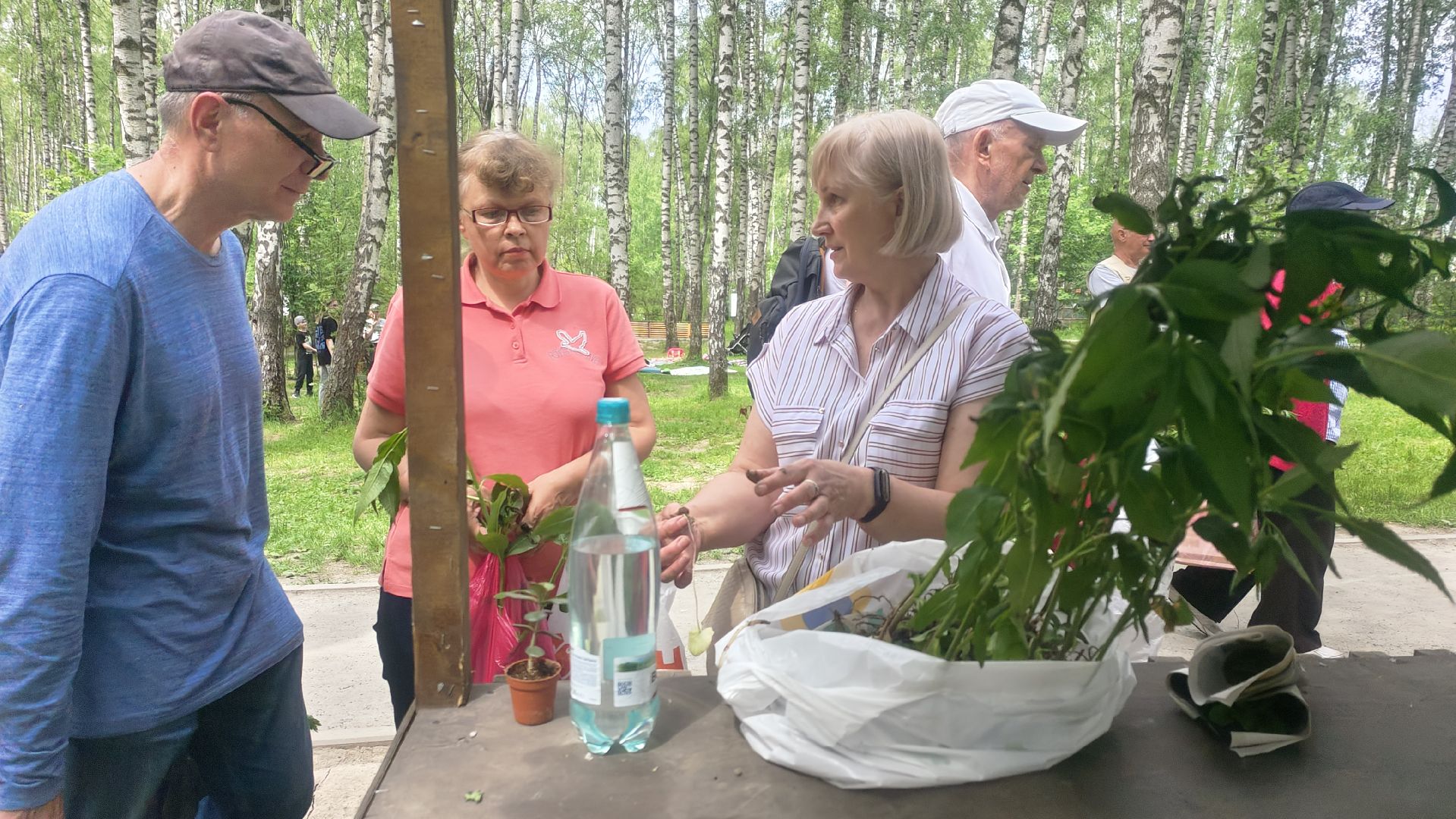 Зеленая Дармарка, Городской лес, обмен вещами, Домодедово,