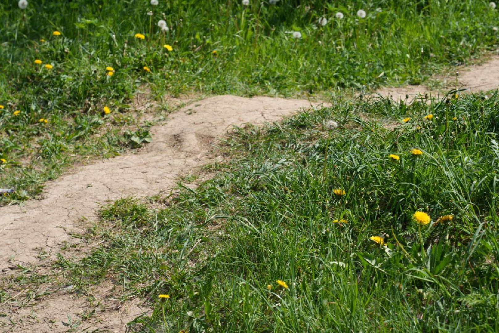 Благоустройство, Сергиев Посад, Сквер, Пешеходный маршрут, Сергиево-Посадский городской округ,