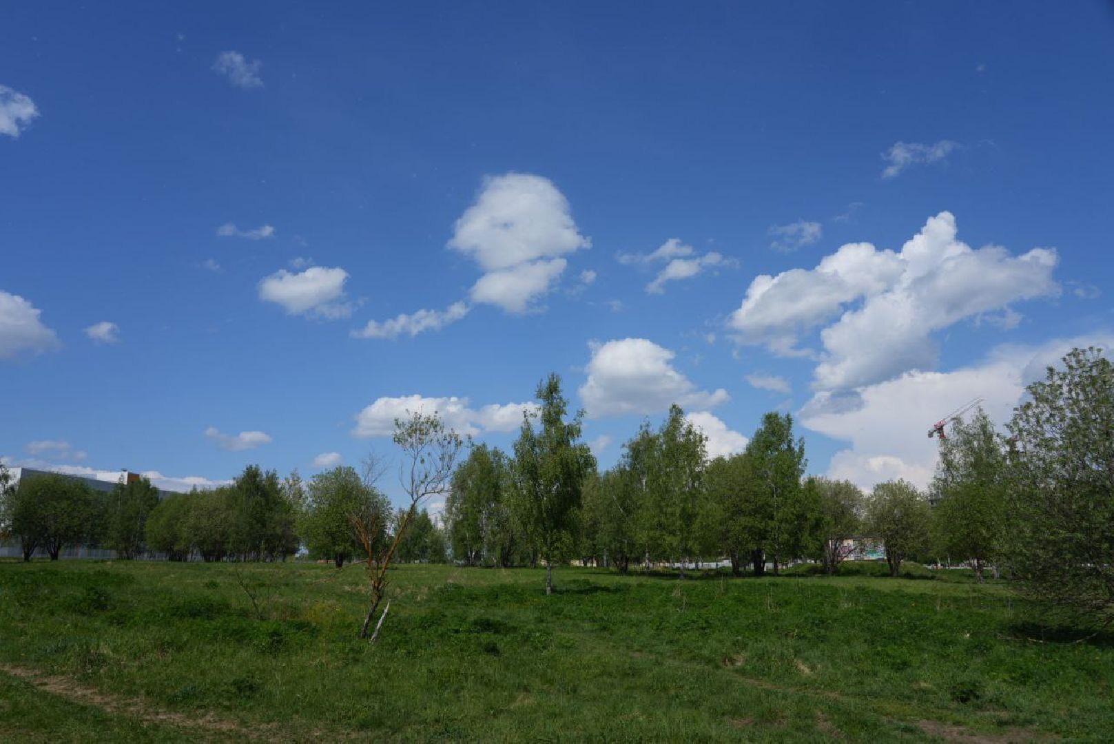 Благоустройство, Сергиев Посад, Сквер, Пешеходный маршрут, Сергиево-Посадский городской округ,