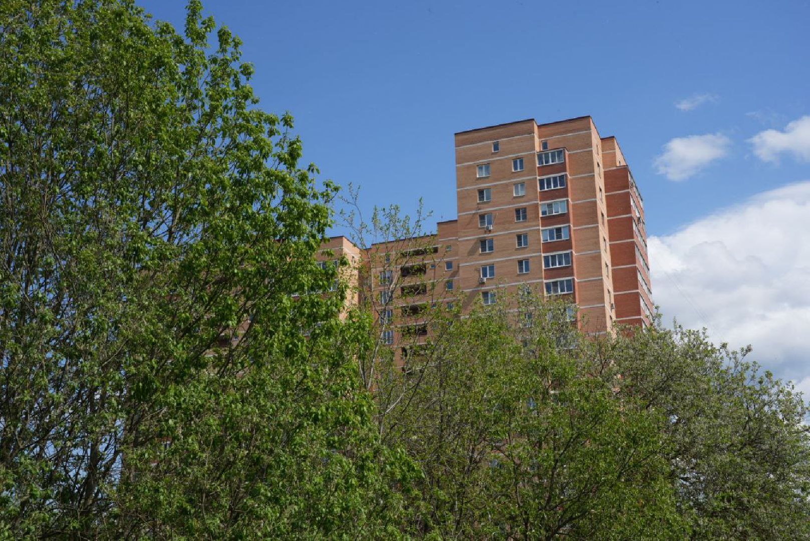 Благоустройство, Сергиев Посад, Сквер, Пешеходный маршрут, Сергиево-Посадский городской округ,