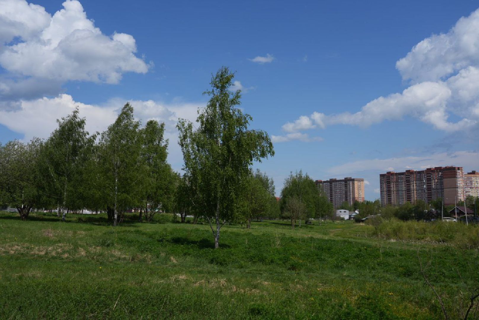 Благоустройство, Сергиев Посад, Сквер, Пешеходный маршрут, Сергиево-Посадский городской округ,