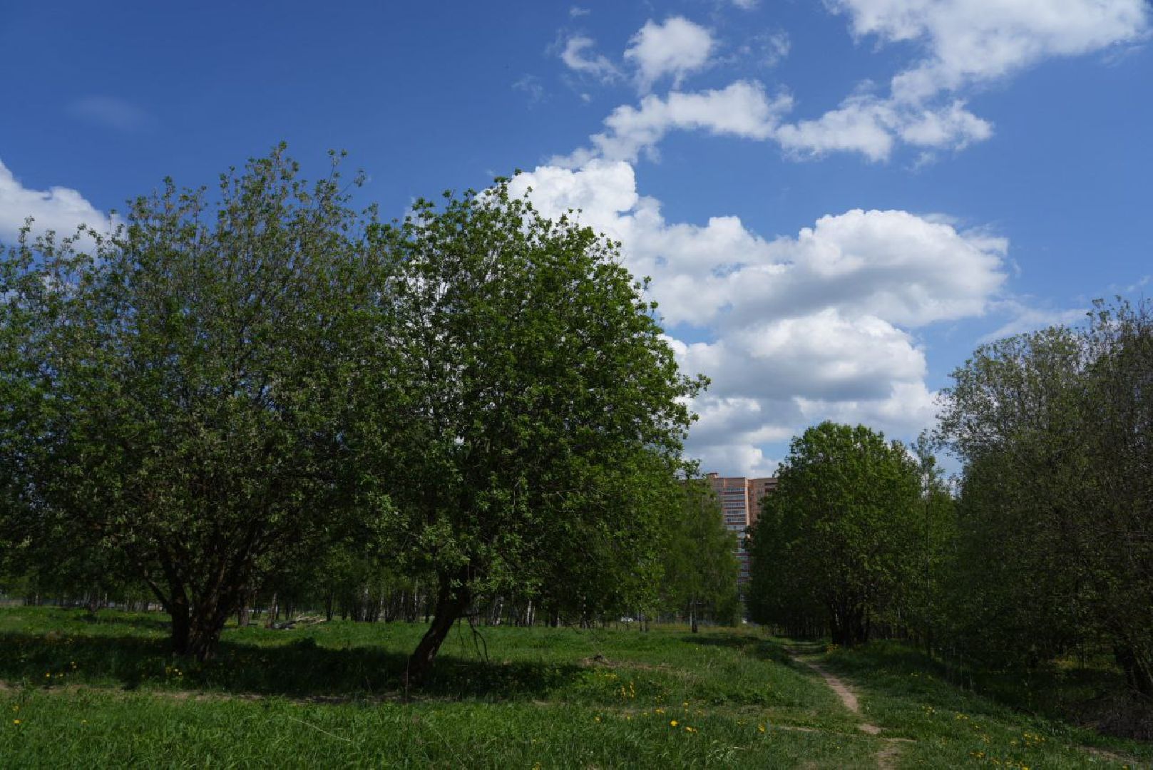 Благоустройство, Сергиев Посад, Сквер, Пешеходный маршрут, Сергиево-Посадский городской округ,