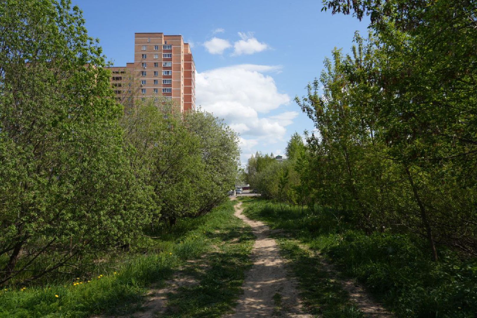 Благоустройство, Сергиев Посад, Сквер, Пешеходный маршрут, Сергиево-Посадский городской округ,