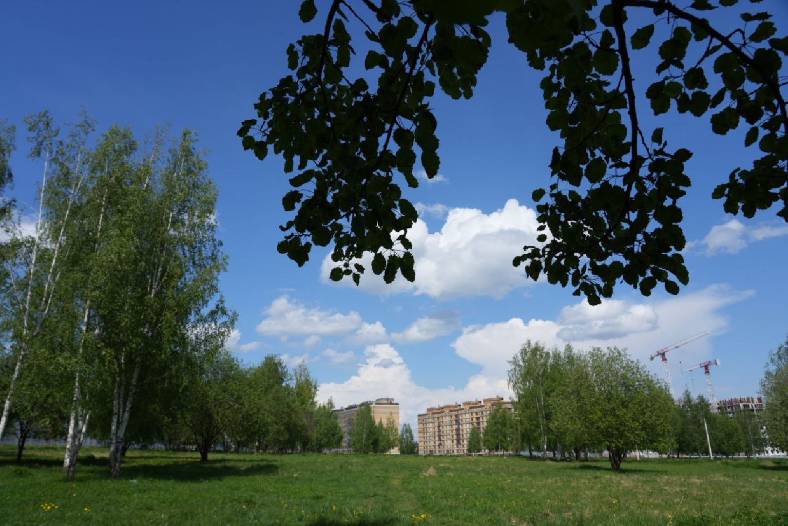 Благоустройство, Сергиев Посад, Сквер, Пешеходный маршрут, Сергиево-Посадский городской округ,