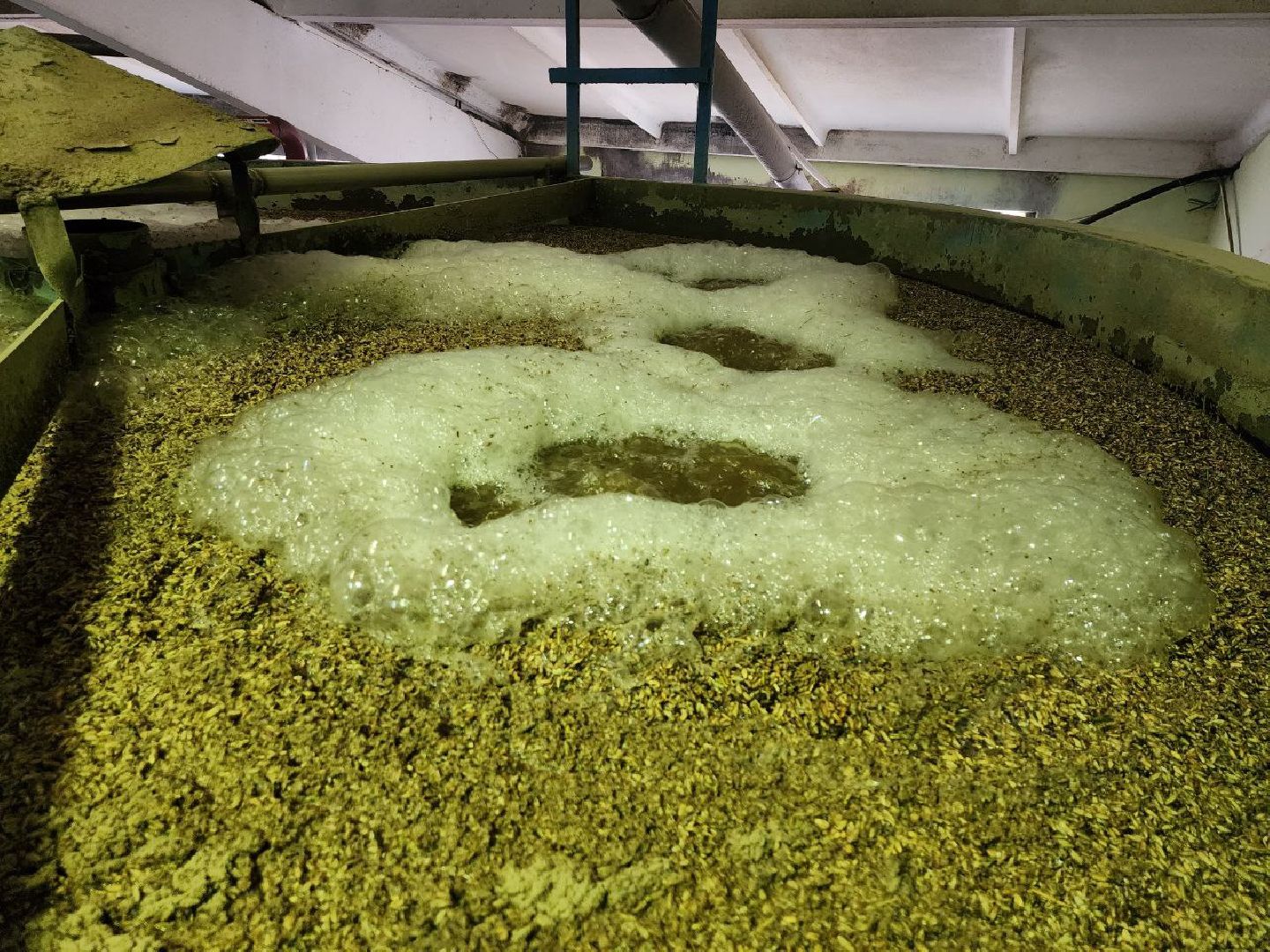 можайск, можайский городской округ, подмосковье, солод, концентрат квасного сусла, производство, сельское хозяйство, колхоз, колхоз уваровский,