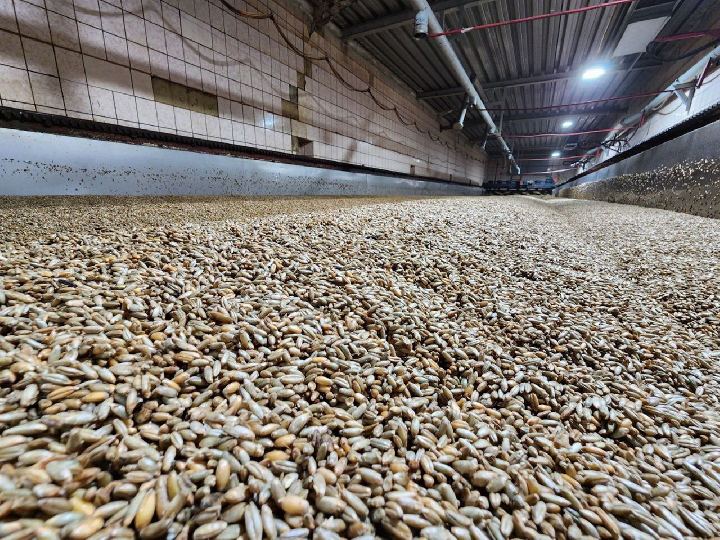 можайск, можайский городской округ, подмосковье, солод, концентрат квасного сусла, производство, сельское хозяйство, колхоз, колхоз уваровский,