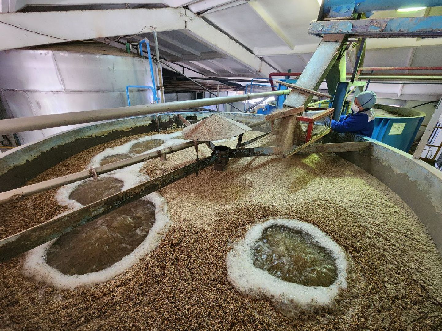 можайск, можайский городской округ, подмосковье, солод, концентрат квасного сусла, производство, сельское хозяйство, колхоз, колхоз уваровский,