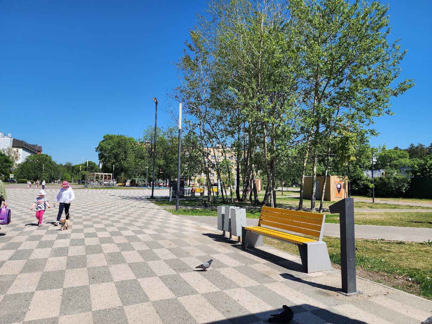 Черноголовка, жалобы жителей,