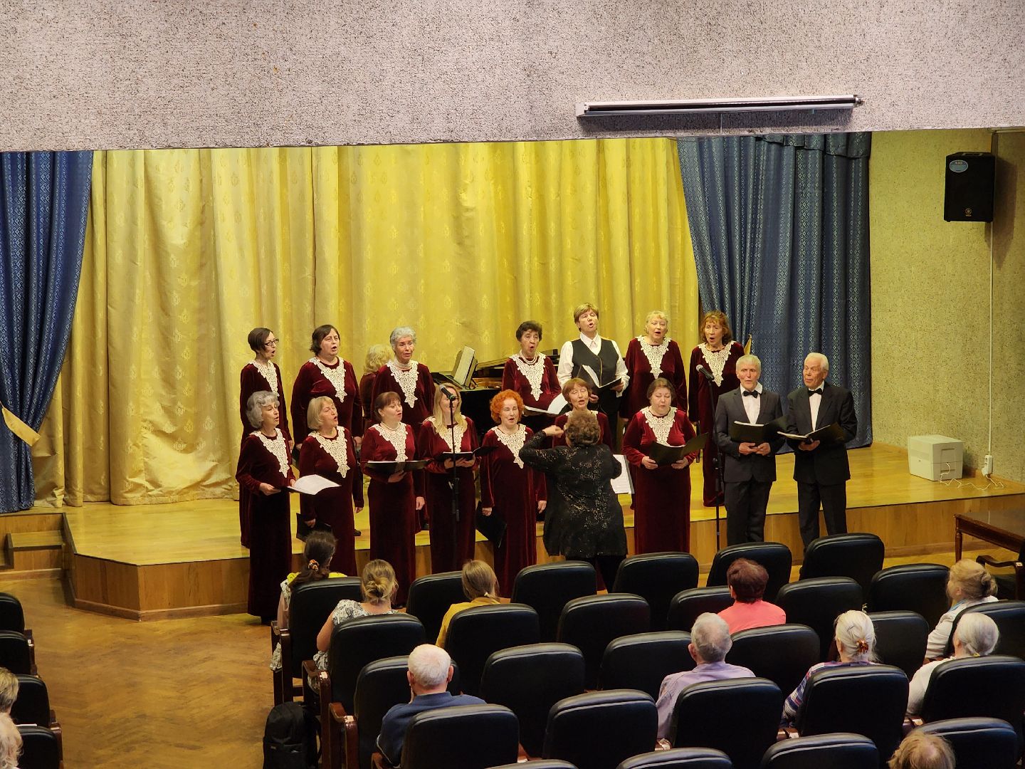 черноголовка, Гамма, Концерт,