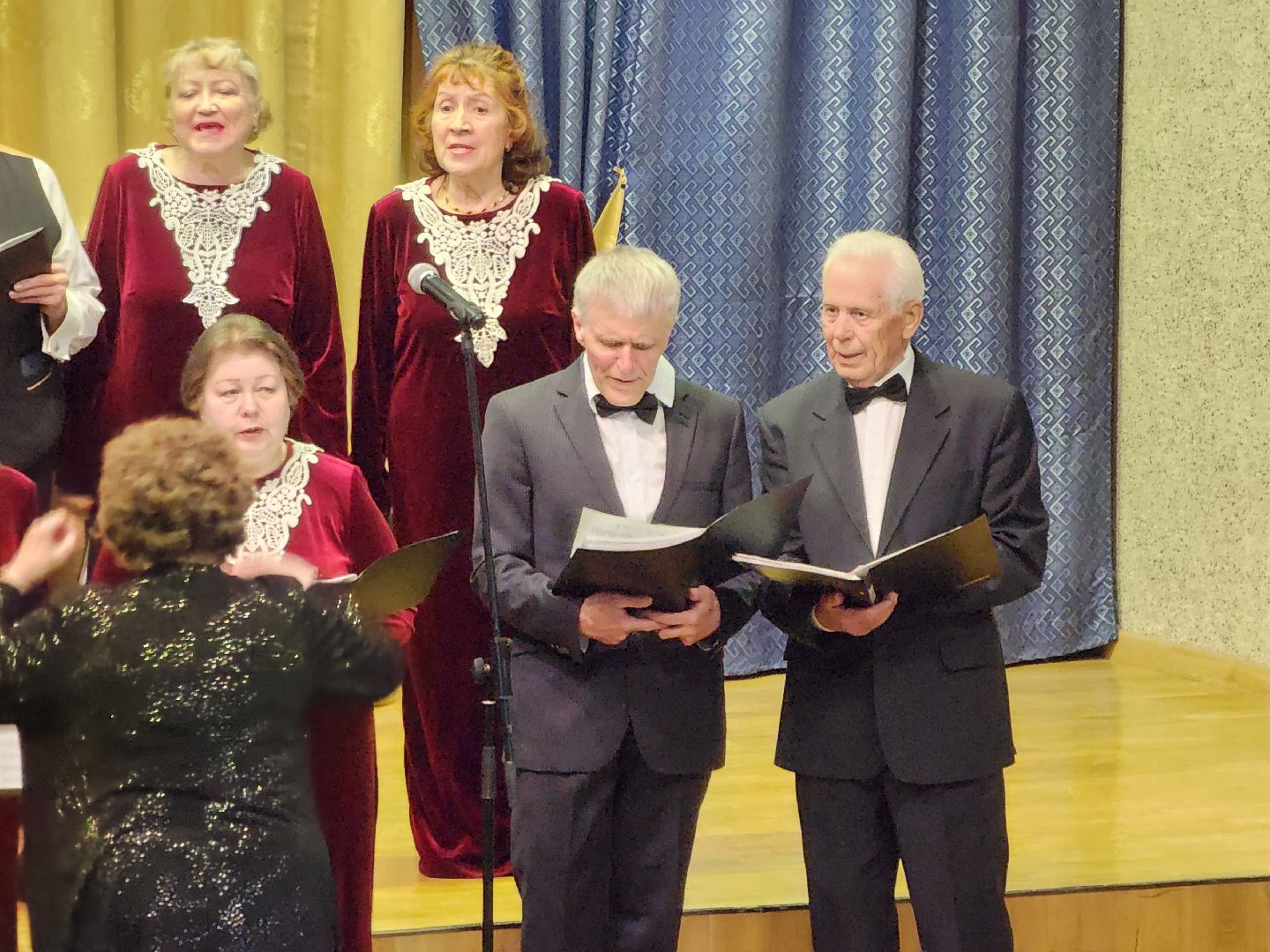 черноголовка, Гамма, Концерт,