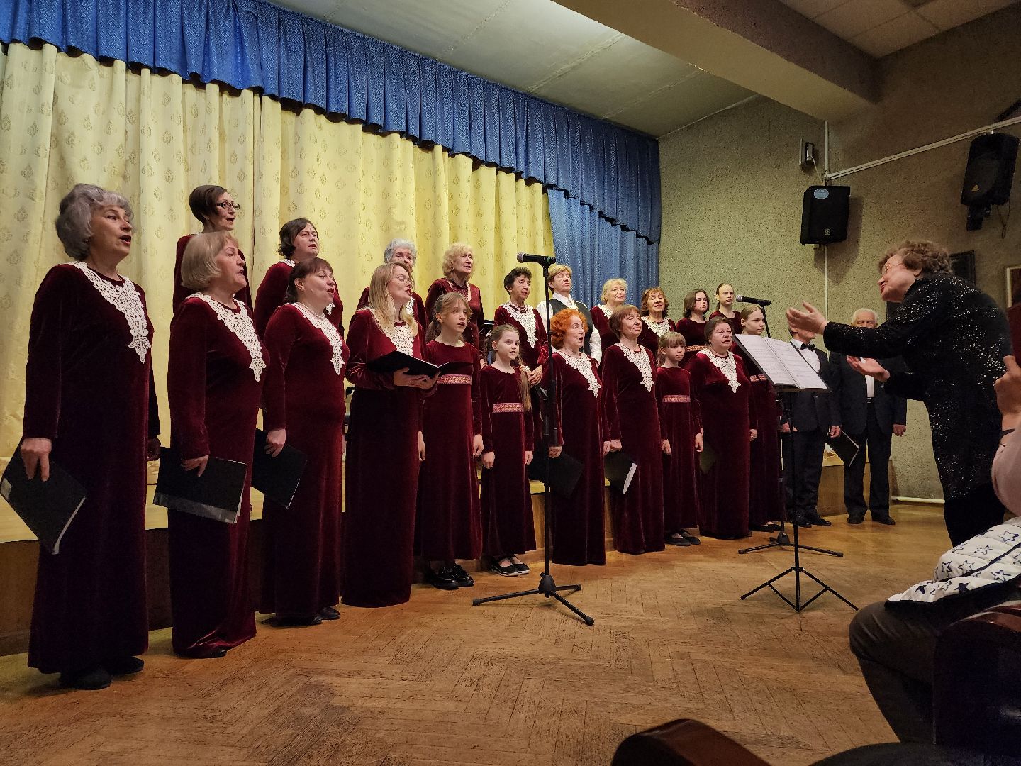 черноголовка, Гамма, Концерт,