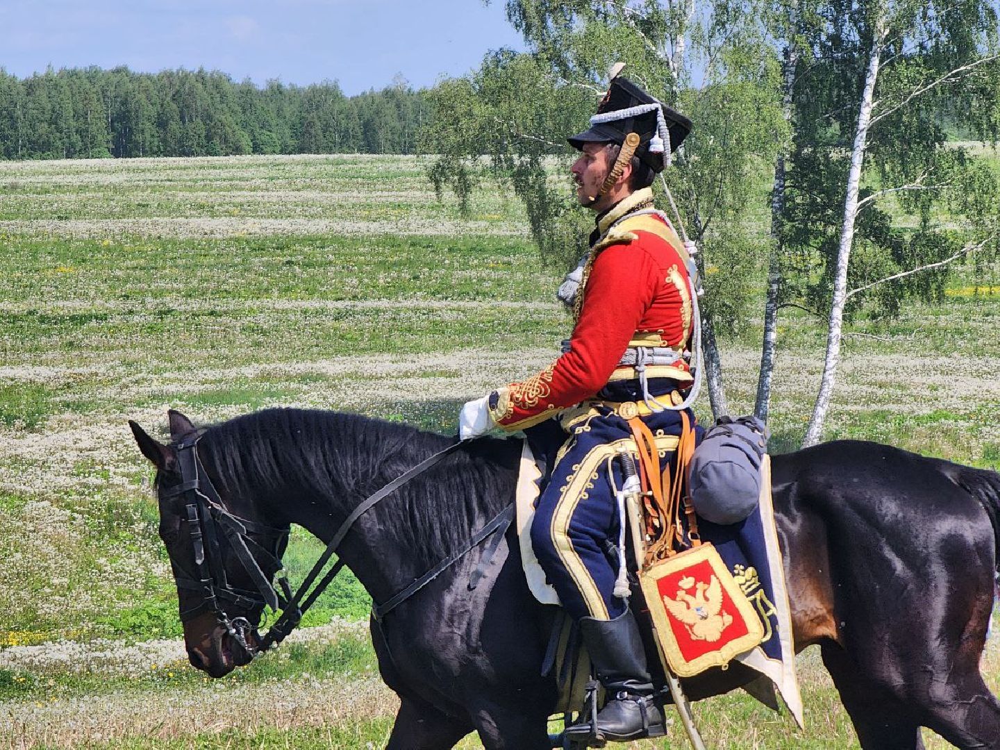 можайск, можайский городской округ, подмосковье, реконструкция, военно-исторический праздник, стойкий оловянный солдатик, бородинское поле,