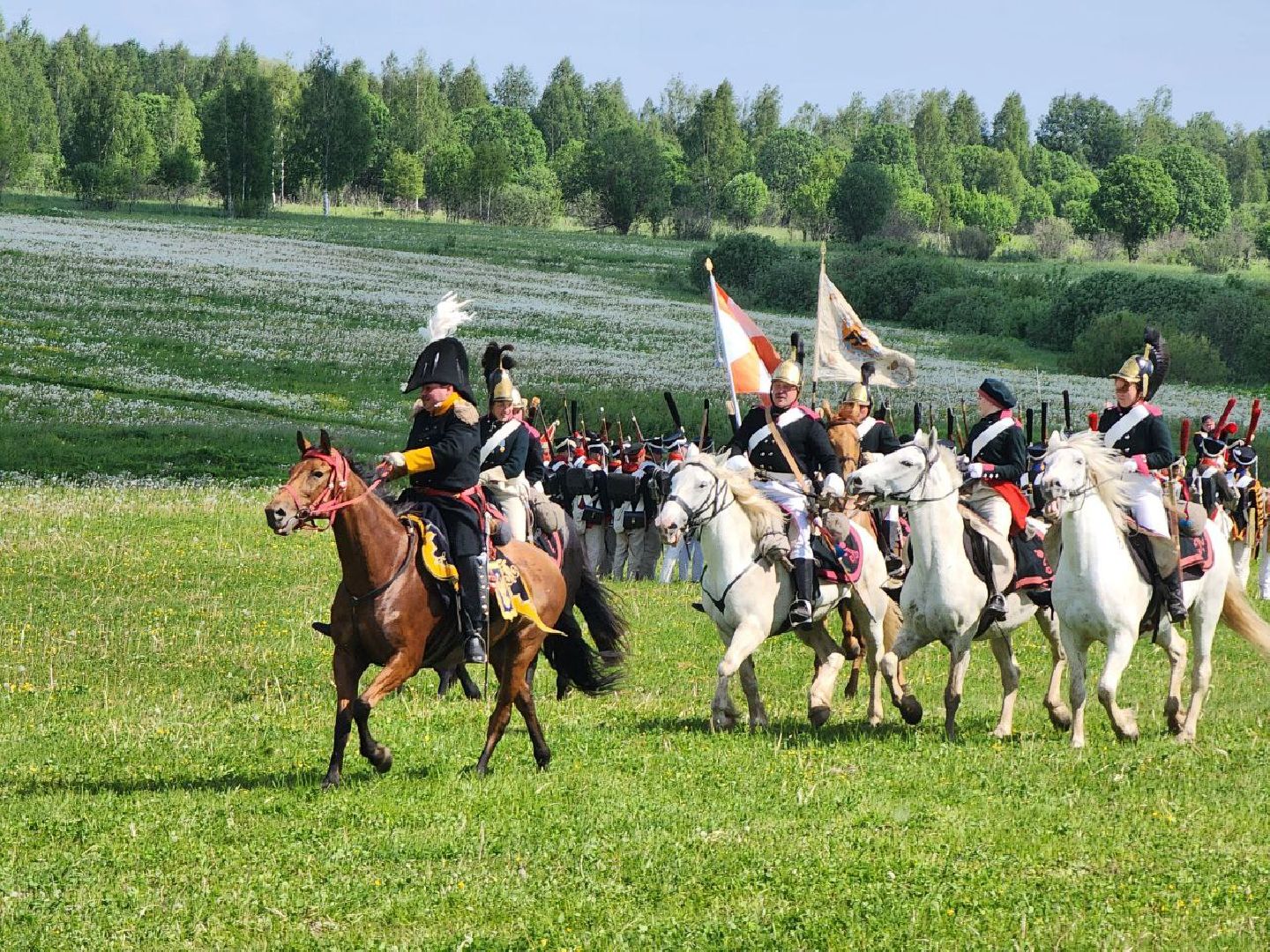 можайск, можайский городской округ, подмосковье, реконструкция, военно-исторический праздник, стойкий оловянный солдатик, бородинское поле,