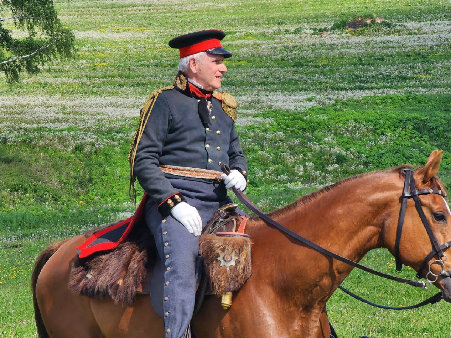 можайск, можайский городской округ, подмосковье, реконструкция, военно-исторический праздник, стойкий оловянный солдатик, бородинское поле,