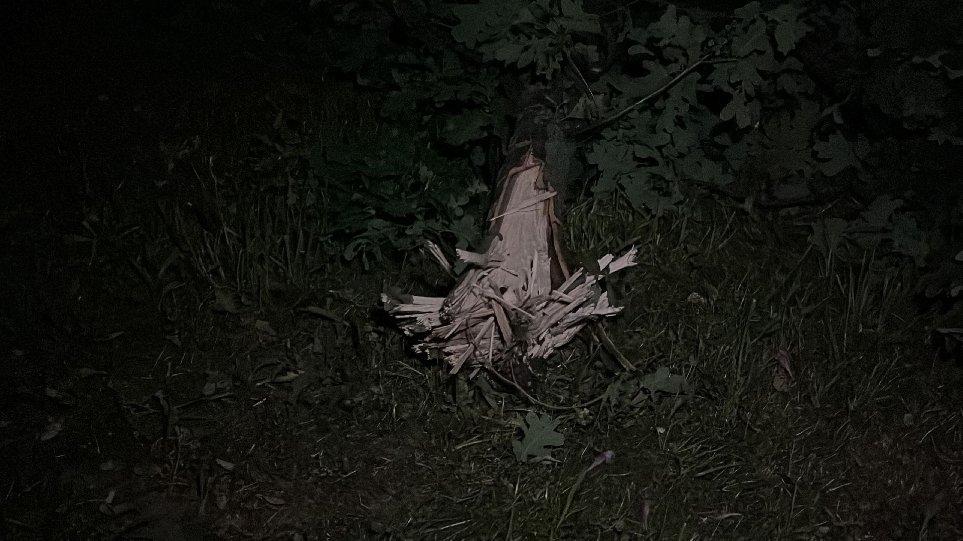 беспилотник, бпла,