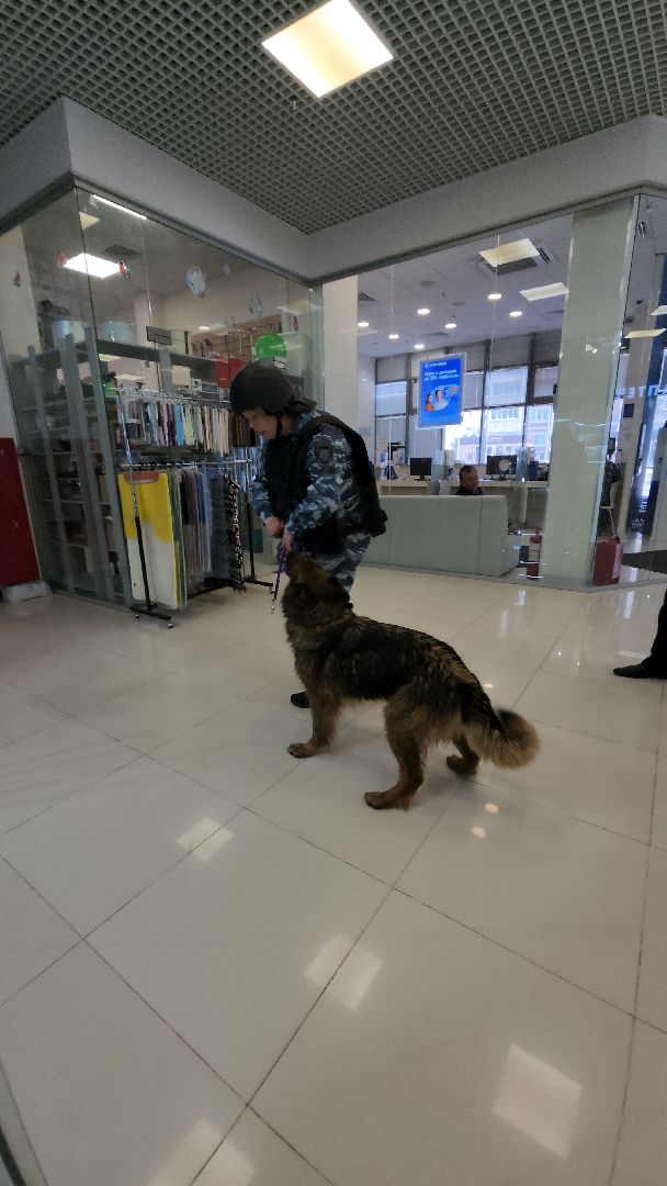 эвакуация, учения, учения в торговом центре, росгвардия, росгвардия руза, рузский городской округ, полиция рузы,