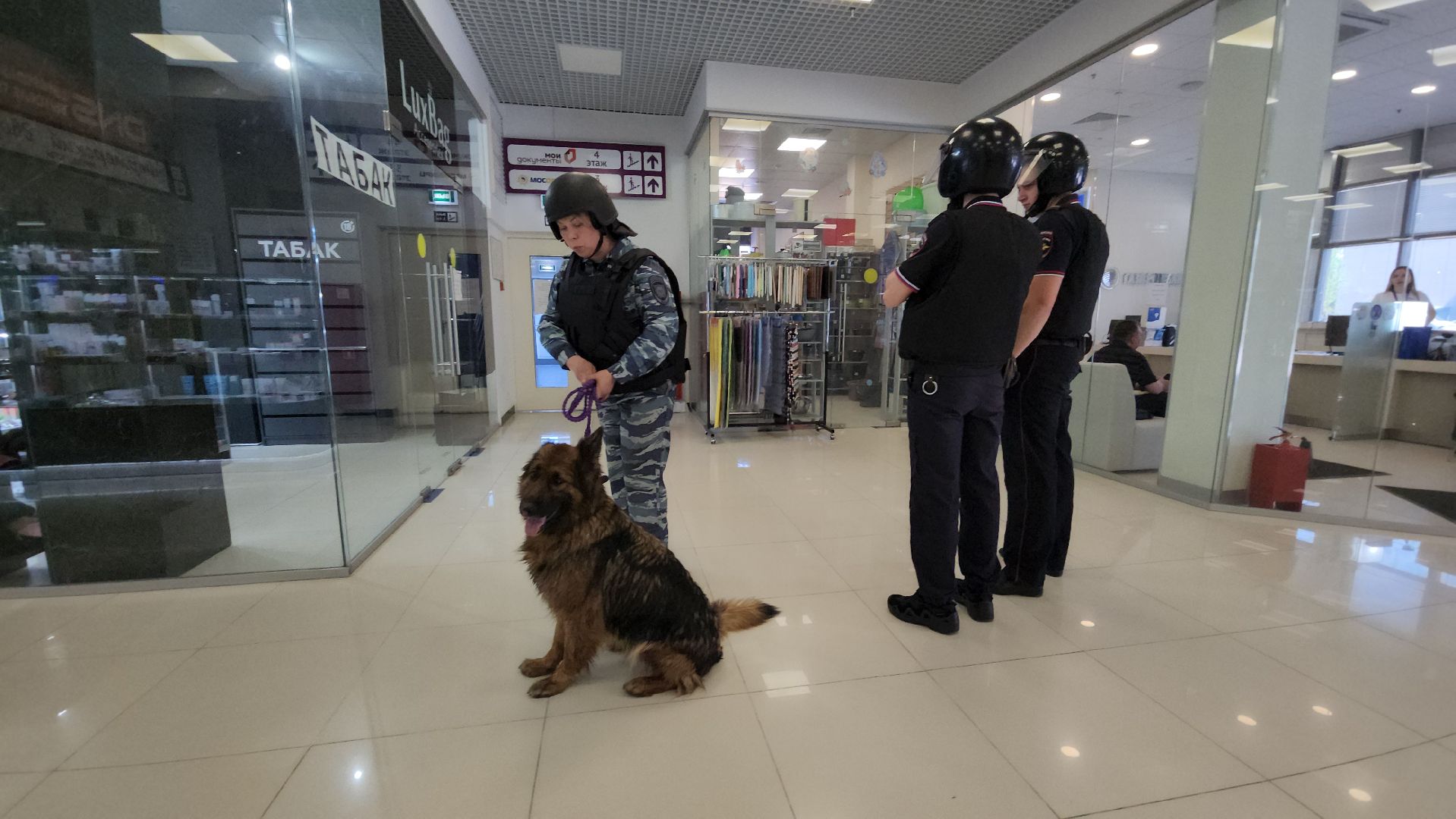 эвакуация, учения, учения в торговом центре, росгвардия, росгвардия руза, рузский городской округ, полиция рузы,