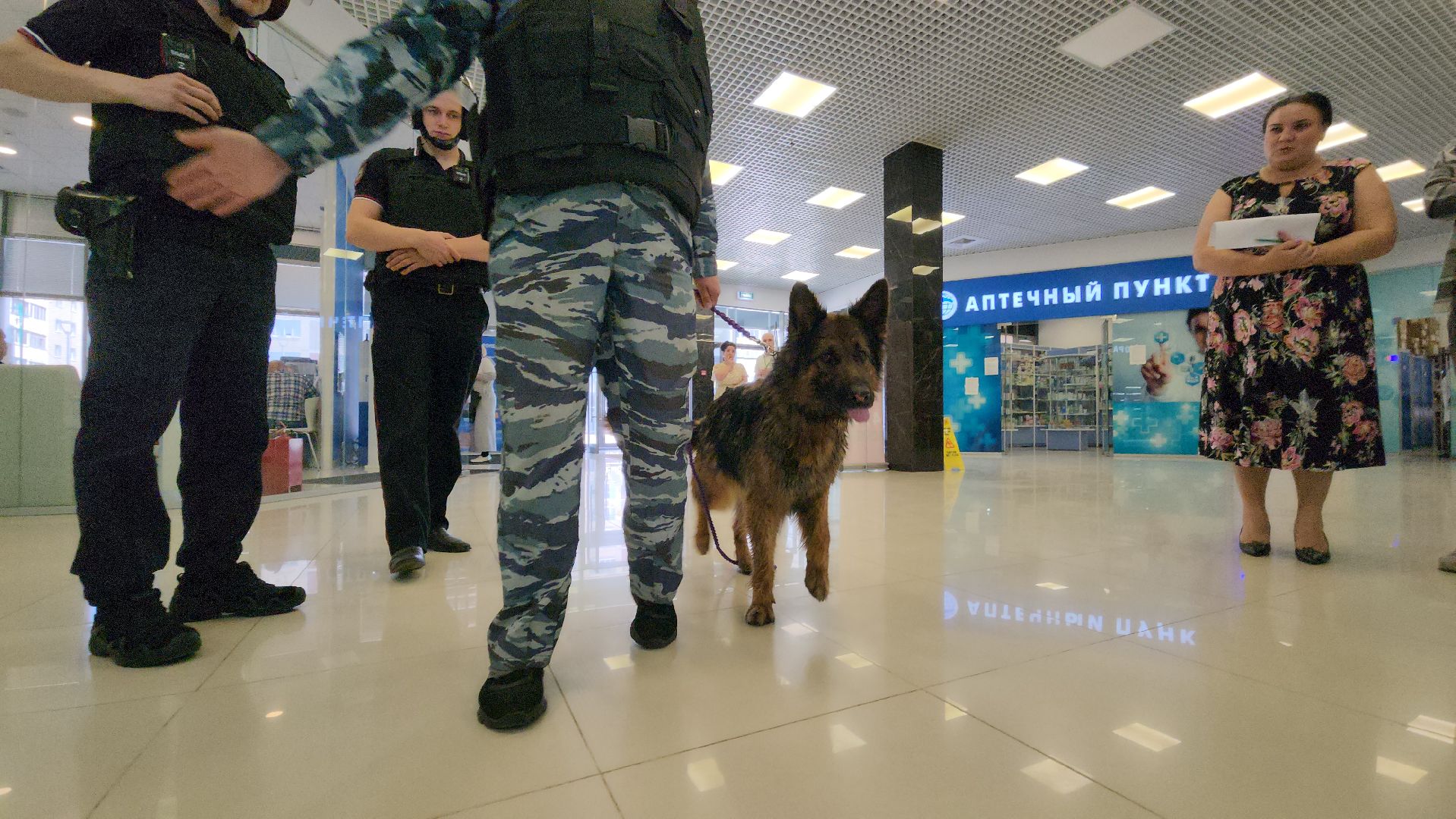 эвакуация, учения, учения в торговом центре, росгвардия, росгвардия руза, рузский городской округ, полиция рузы,