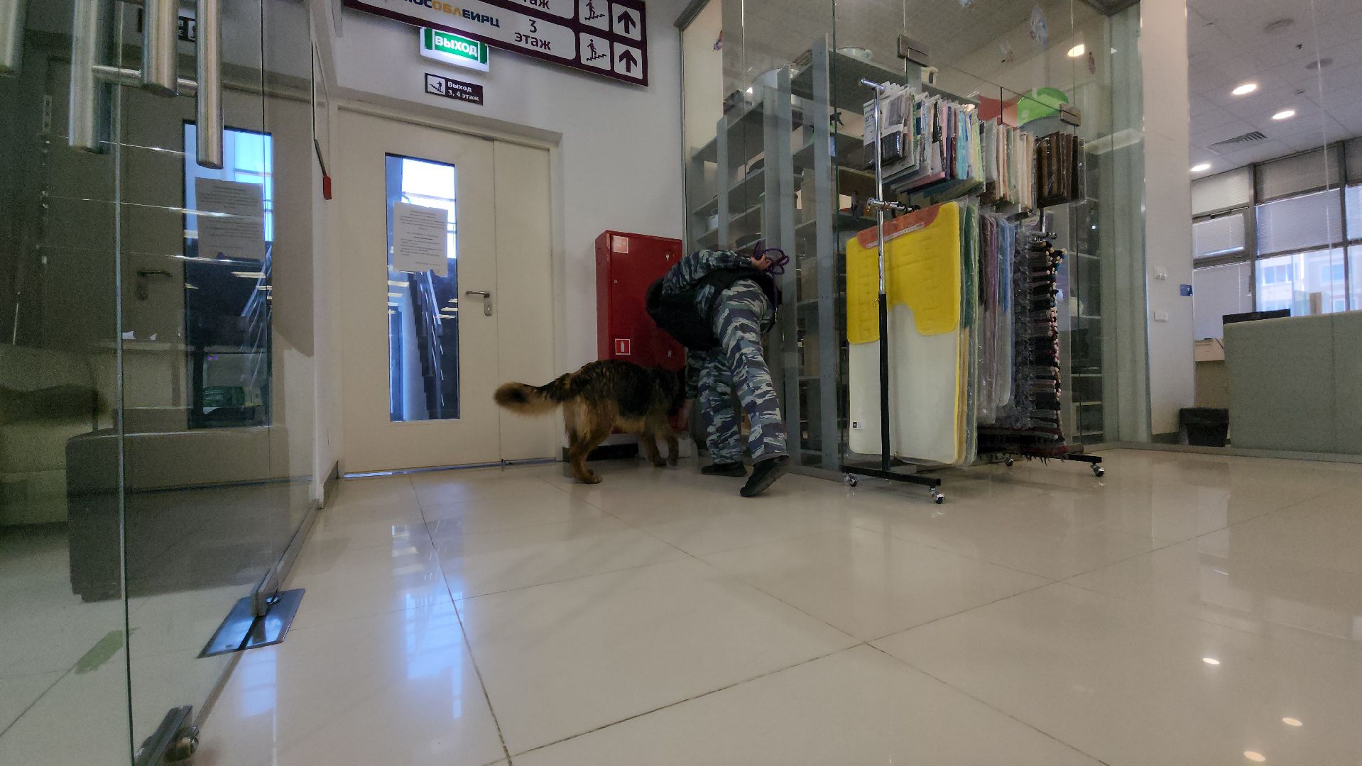 эвакуация, учения, учения в торговом центре, росгвардия, росгвардия руза, рузский городской округ, полиция рузы,