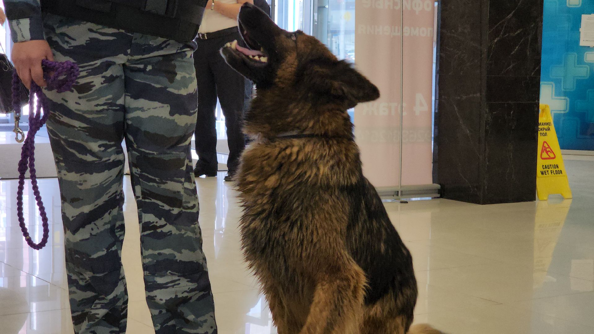 эвакуация, учения, учения в торговом центре, росгвардия, росгвардия руза, рузский городской округ, полиция рузы,