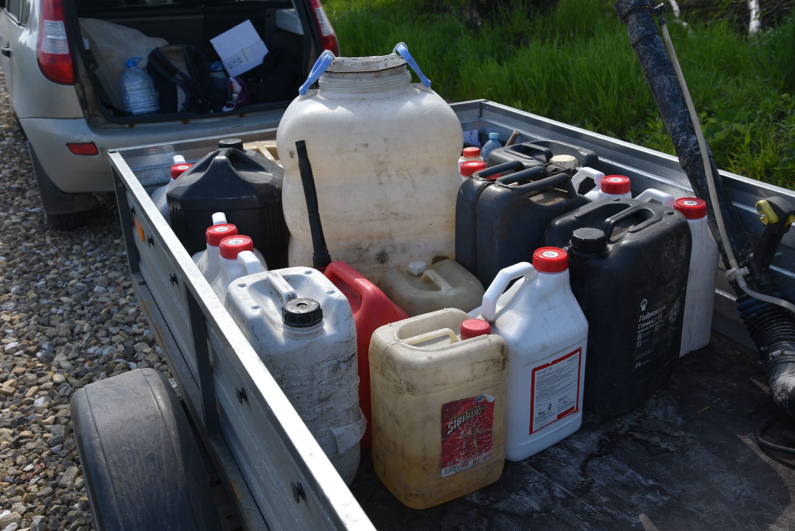 лотошино, борщевик, борщевик сосновского, борьба с борщевиком, экология,