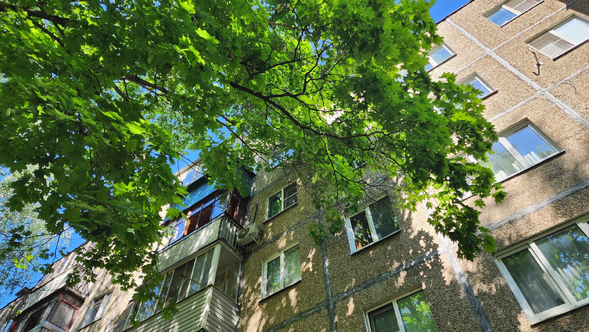 Подольск, опиловка деревьев, комбинат благоустройства, добродел,