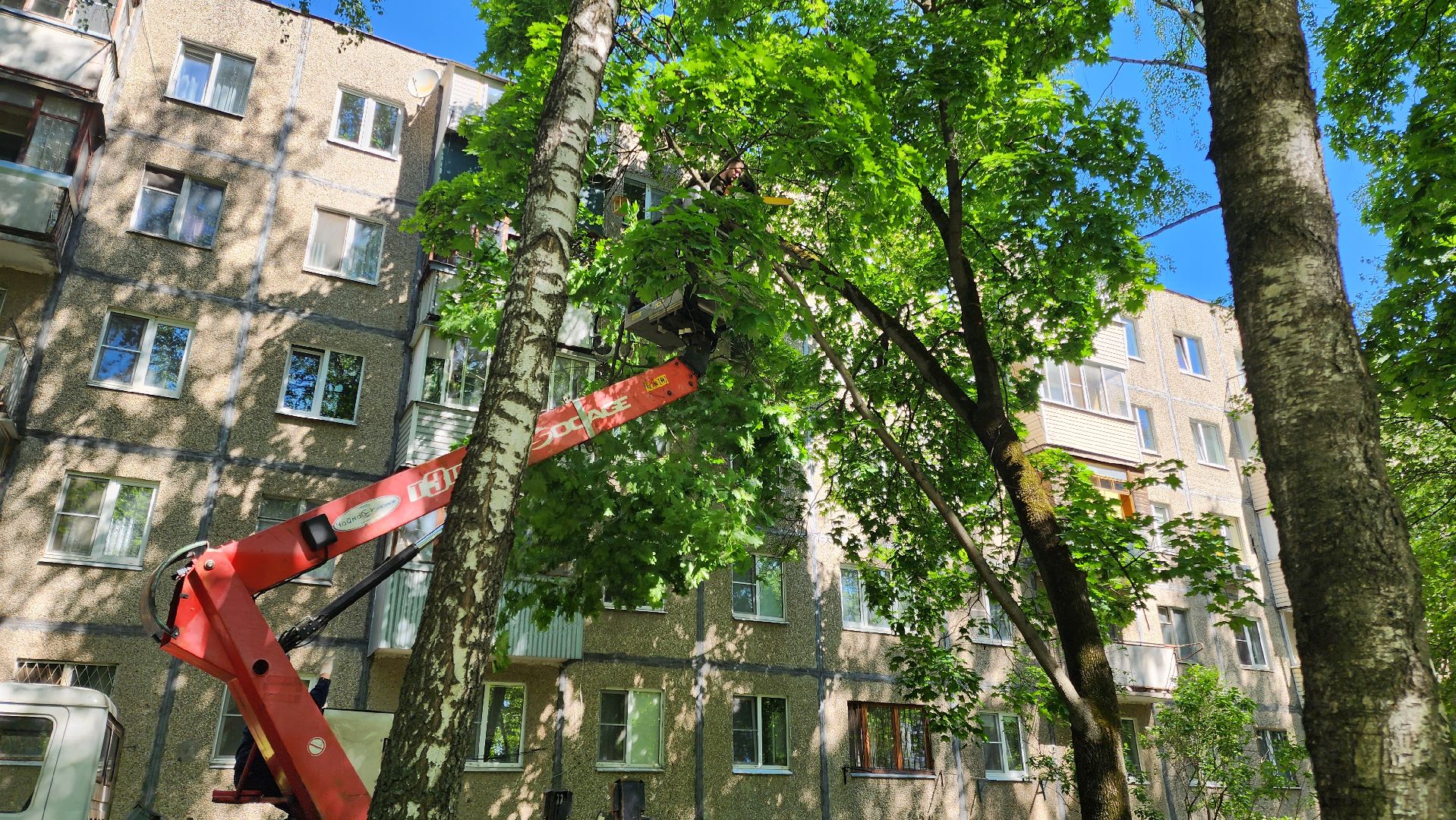 Подольск, опиловка деревьев, комбинат благоустройства, добродел,