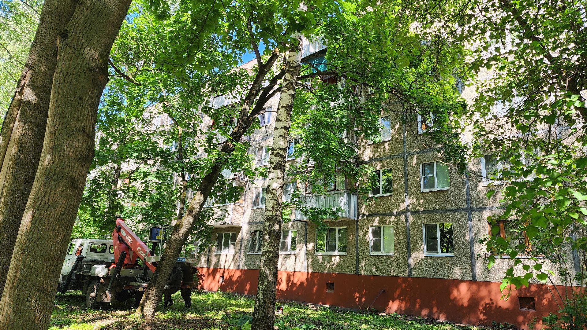 Подольск, опиловка деревьев, комбинат благоустройства, добродел,