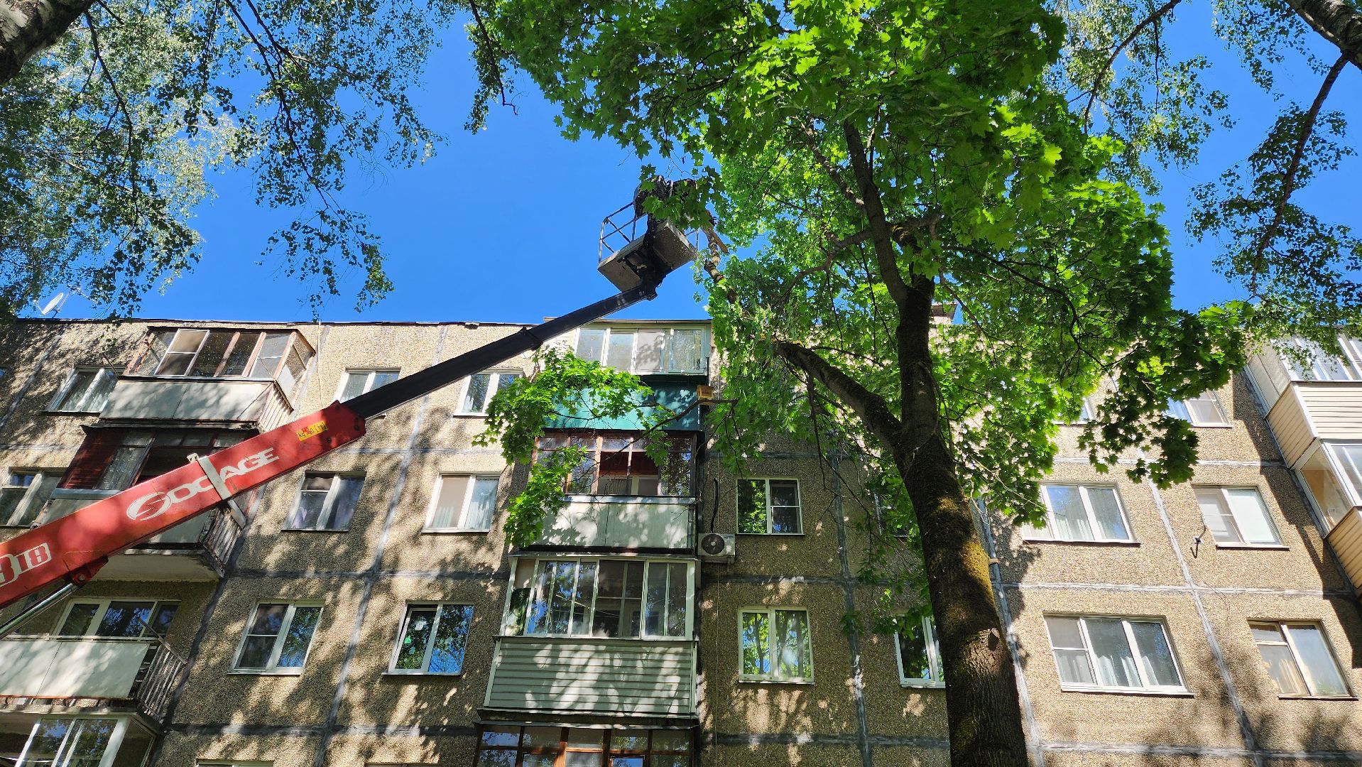 Подольск, опиловка деревьев, комбинат благоустройства, добродел,