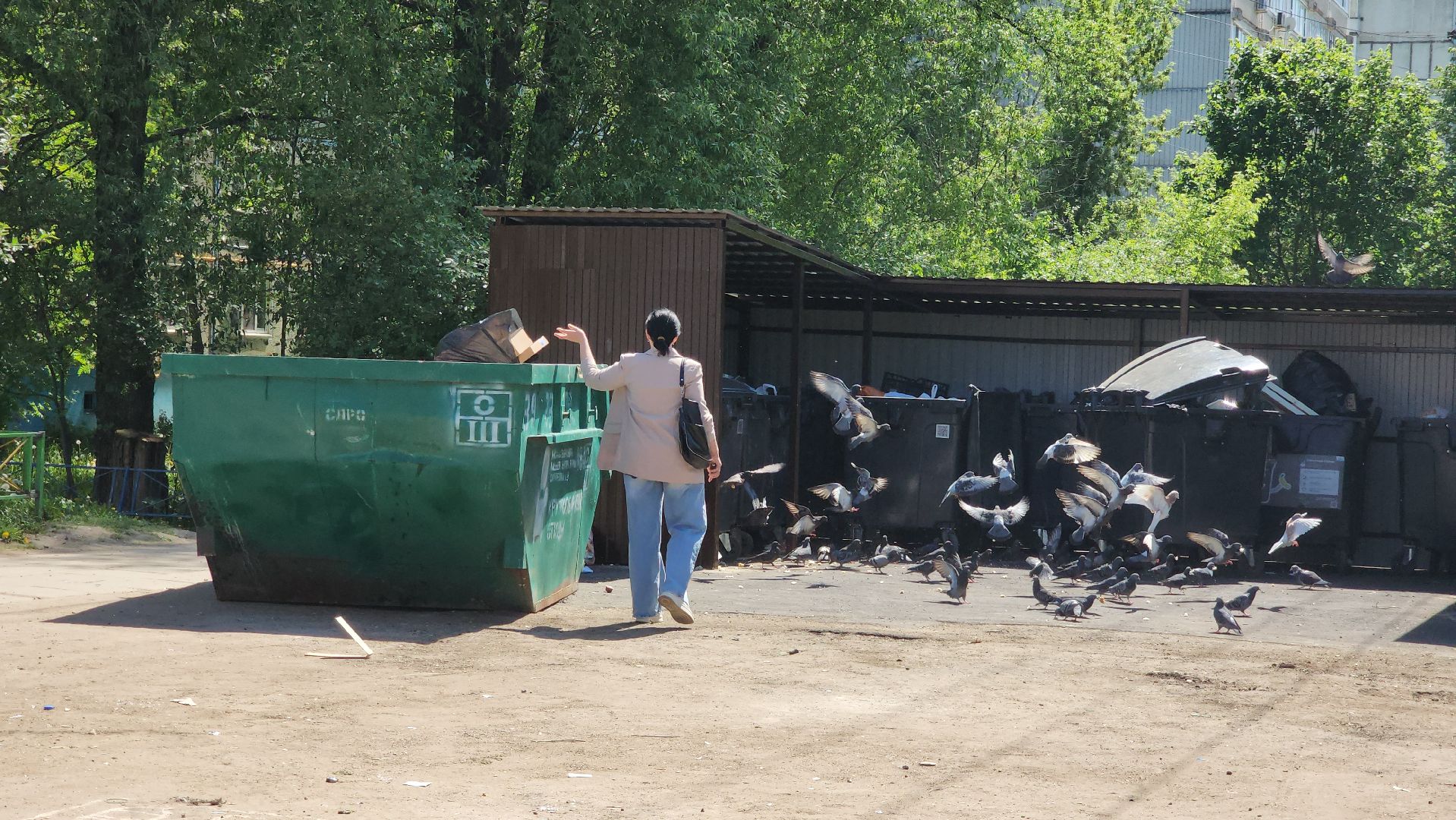 Лобня, чистота, мусорные площадки, мусорные контейнеры,