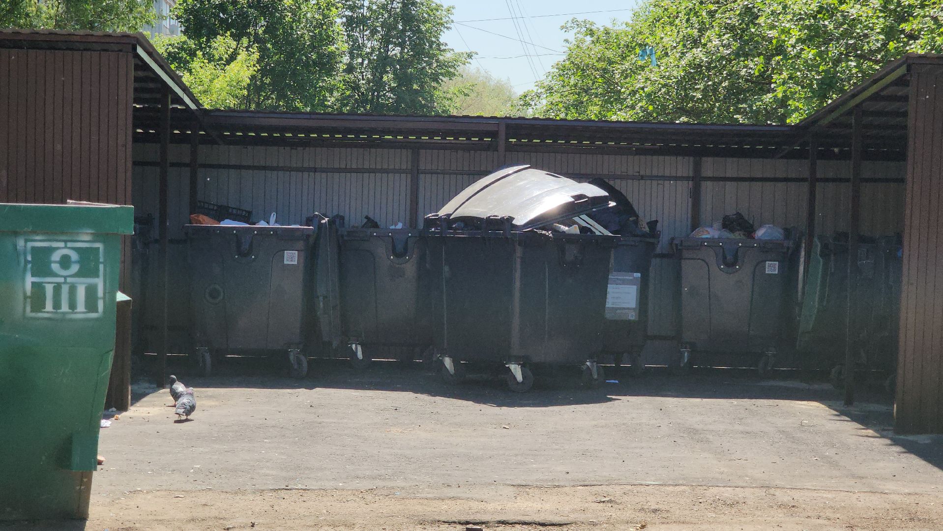 Лобня, чистота, мусорные площадки, мусорные контейнеры,